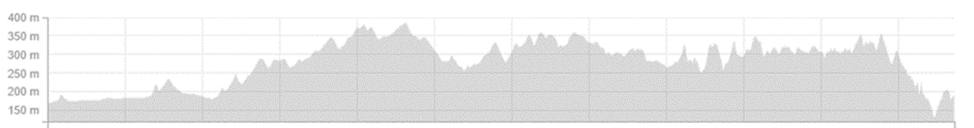 Elevation Day 5